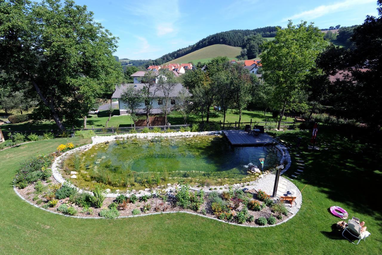 Hotel Geier Bad Schönau 外观 照片