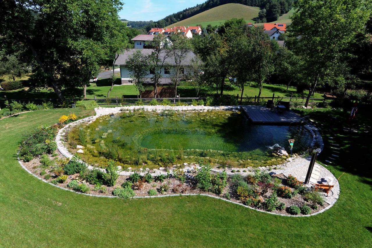 Hotel Geier Bad Schönau 外观 照片