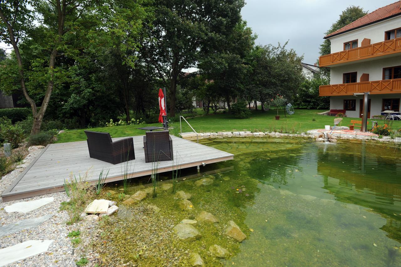 Hotel Geier Bad Schönau 外观 照片